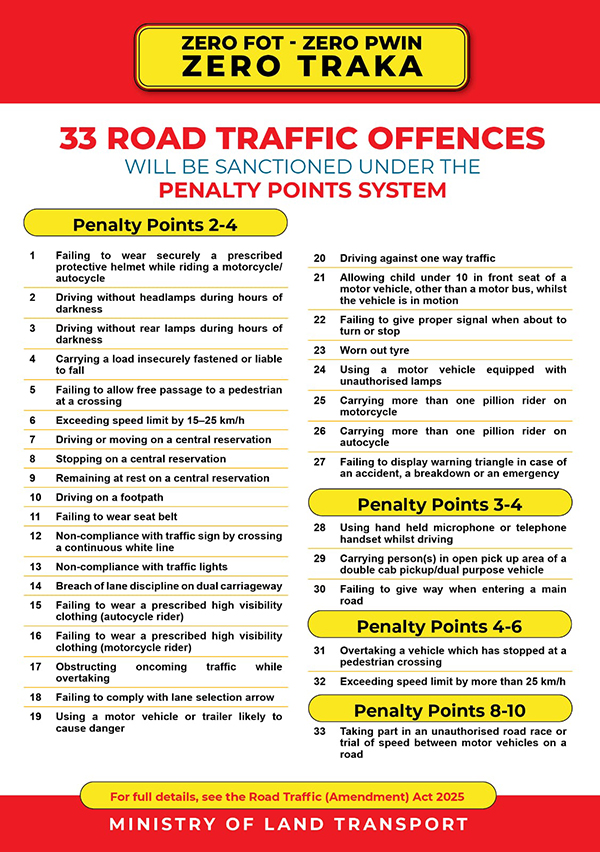 permis de conduire (1).jpeg