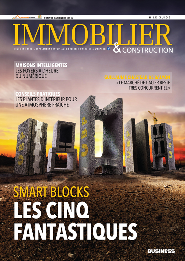 Cover Immobiler et Construction Nov23.JPG