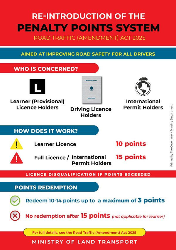 permis de conduire (2).jpeg