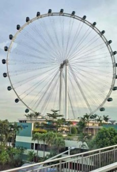 singapore flyer.jpg