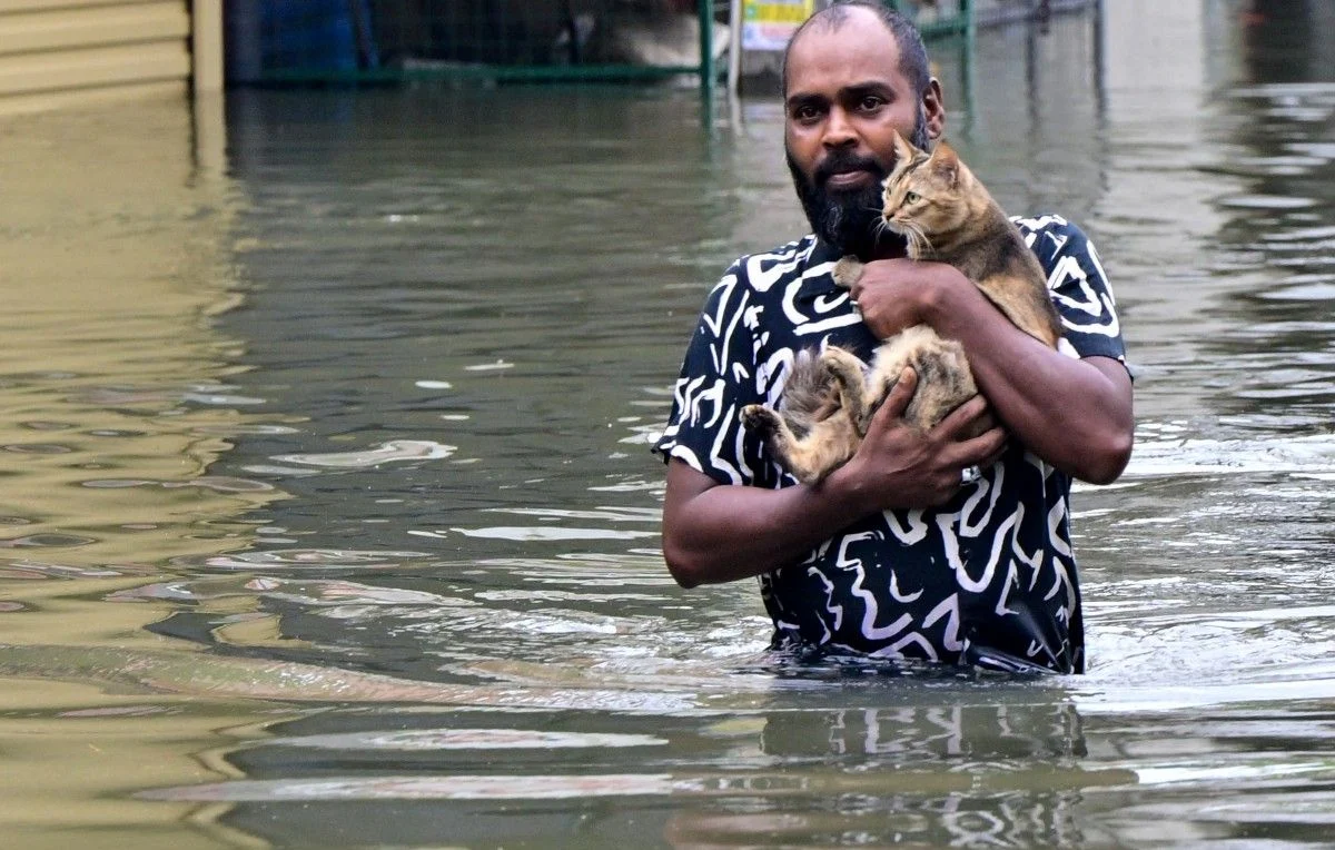 1444x920_a-man-carries-his-cat-across-a-flooded-road-in-wellampitiya-on-the-outskirts-of-colombo-on-november-29-2025-sri-lanka-made-an-appeal-for-international-assistance-on-november-29-as-the-death-toll-fr.webp