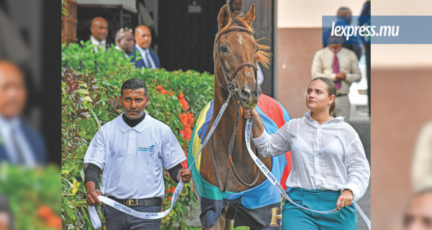Express.mu (620 x 330) (22).png