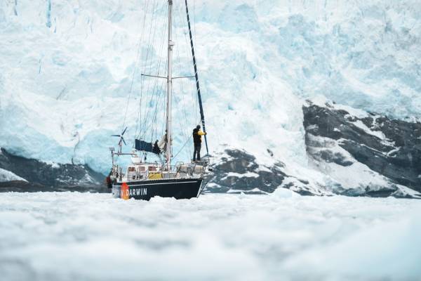 CaptainDarwin_Glacier_2_©Maxime Horlaville _ Captain Darwin (1)