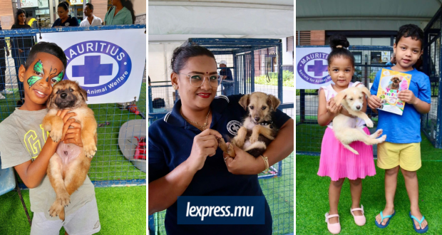 Express.mu (620 x 330) (18).png