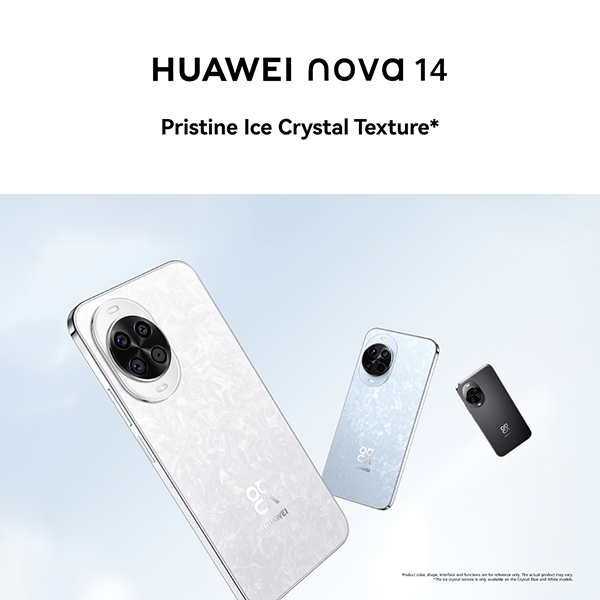 Nova14_5.jpg